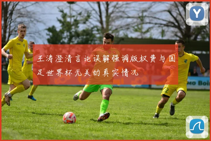 王涛澄清言论误解强调版权费与国足世界杯无关的真实情况
